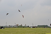 Parco San Giuliano  - 174